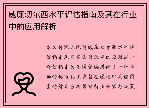 威廉切尔西水平评估指南及其在行业中的应用解析